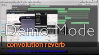Celebrity Assignment No.5 - Reverb:  Algorithmic and Convolution Net Worth