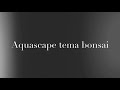 Aquascape tema bonsai