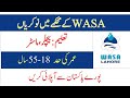 Water and Sanitation Agency WASA Lahore Jobs 2024