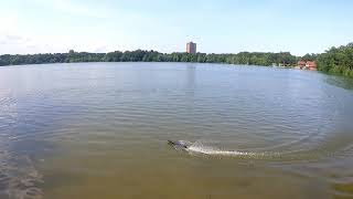 Tenshock Mini Mono Jamaica Pond