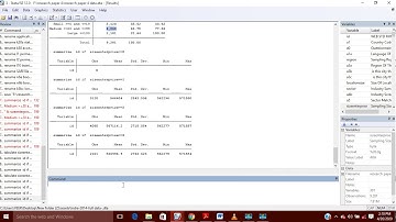 Summarize data in Stata