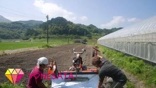 畝立て マルチ張り機 Youtube 畝立て マルチ張り機 Youtube