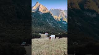 Ako ovo nije raj na zemlji – ne znam šta je!​⁠100% priroda!@milanvasic_official ​⁠#svetbiologije