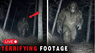 3 Hours of Most DISTURBING Bigfoot Encounters Caught on Camera