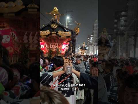 伊勢原道灌まつり2025｜神輿9基一気見🔥