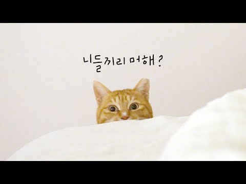 혼자 있는 걸 이렇게나 싫어할 줄이야..