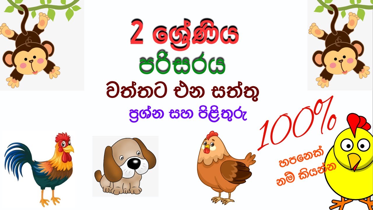 Grade 2 parisaraya| 2 wasara parisaraya lesson | 2 වසර පරිසරය වත්තට එන සත්තු පාඩම