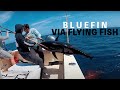 They Caught Their FIRST BIG BLUEFIN ... And Then Their SECOND!