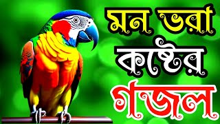 খুবই দুঃখের কবরের কলিজা শীতল করা মন প্রাণ জুড়ানো গজল |new best islamic song |gojol bangla |kn zikir