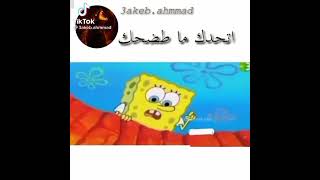 شفيق وهو يشتم سبونج بوب