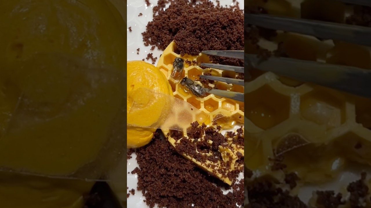 Насекомые в десерте 😳 