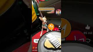 LG Wright e o quanto eu lhi amo sora com o rcarro #countryballs