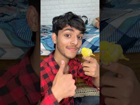 Finally Iska Naam Final Ho Gaya! 😍🎉 #shorts #namereveal #petsvlog