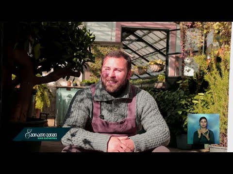 #პირადიექიმი ჩვენ და გარემო