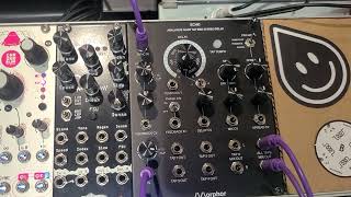 Morphor Echo Test
