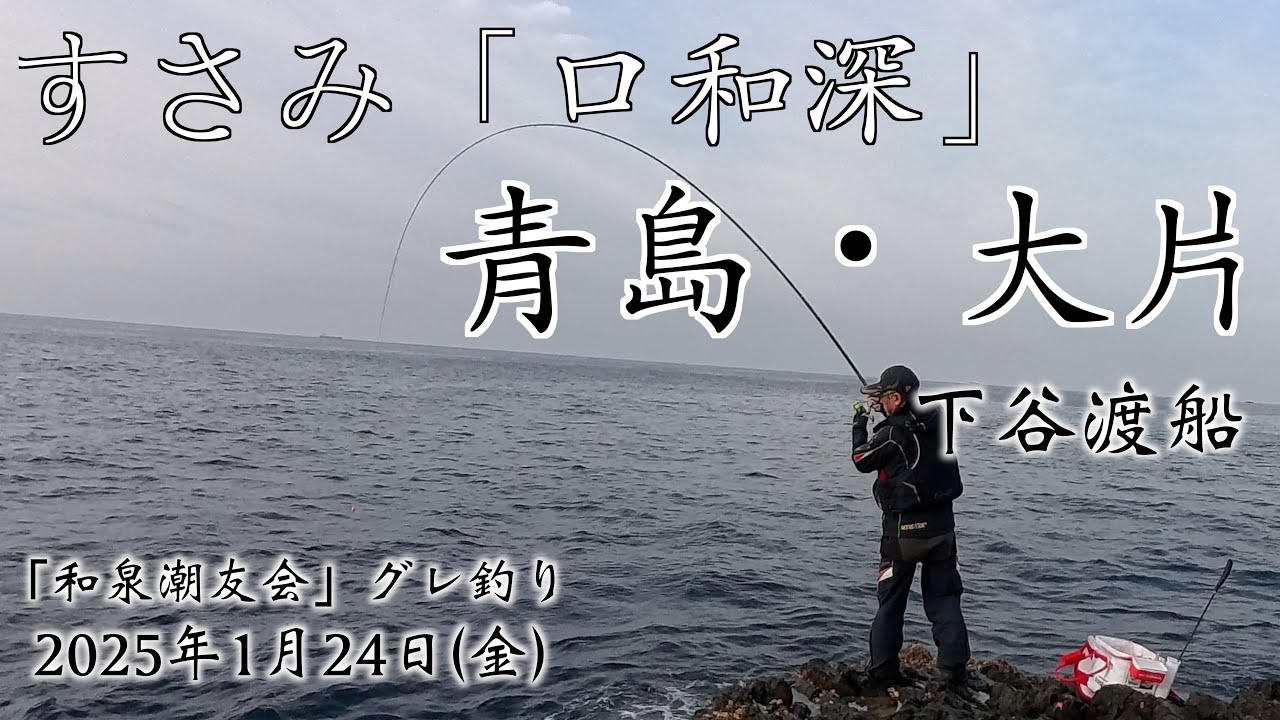 Grey porgy fishing Wakayama Susami Kuchiwafuk Big fly Aoshima Big