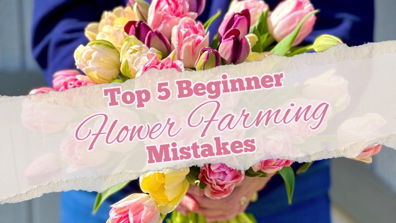 Top 5 Mistakes Beginner Flower Farmers Make (Avoid These!)