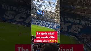 SCHALKE ULTRAS UNLEASH AN INSANE CHOREO! 🔵⚪ “SCHALKE” IN THE STANDS!