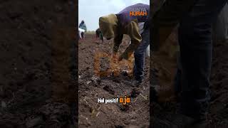 Unlock Produktivitas Pagi Rutinitas Subuh Yang Bikin Harimu Penuh Berkah