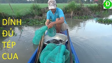 338   Đặc Dớn MiNi Kênh Thủy Lợi Đón Con Nước Lớn Nước Rồng | Đất Phương Nam