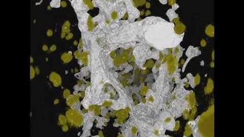 microCT of Basal Ice - Public Dissemination of Science