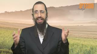 ט"ו באב - לשבור את הגרזן!
