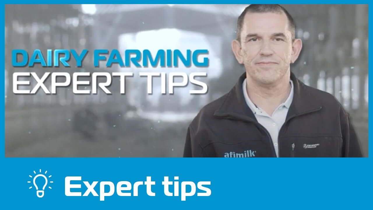 Cow Health – Dairy Farming Expert Tips