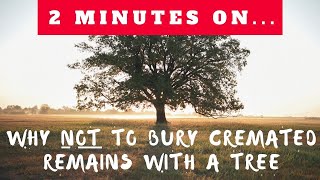 Famous Why Not to Bury Cremated Remains with a Tree- Just Give Me 2 Minutes Profile
