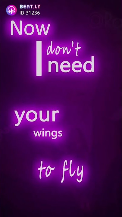 Now i don't need your wings to fly.