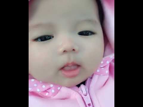 Bayi Imut Youtube