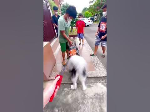 KAORI MAIN SAMA TETANGGA😂 - YouTube