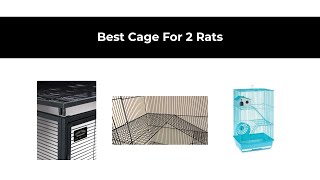 Best Cage For 2 Rats Amazon Review