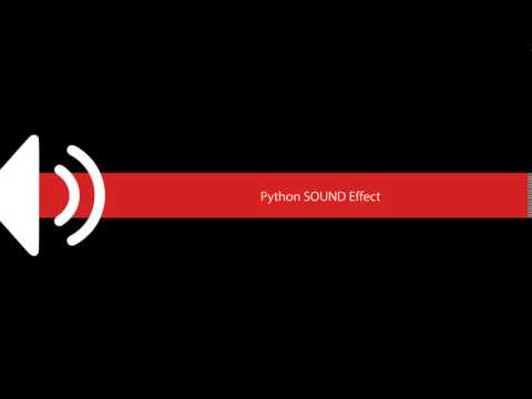 Python SOUND Effect