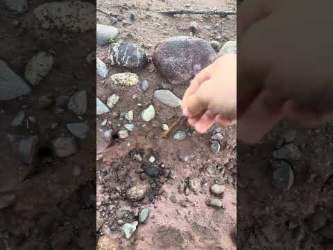 ثقوب صغيرة لوضع بذرة البازلاء جلبناااااا Explore Automobile ترند اكسبلور المغرب Marocas 