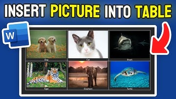 How to Insert Picture Into Table in MS Word - Full Guide