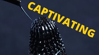Ferrofluid satisfying 2