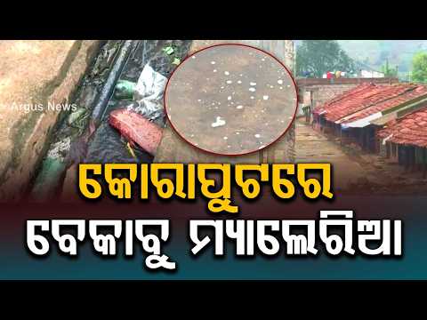 Malaria Outbreak in Koraput: Over 500 Infected in Bandhugaon Within a Month | Argus News