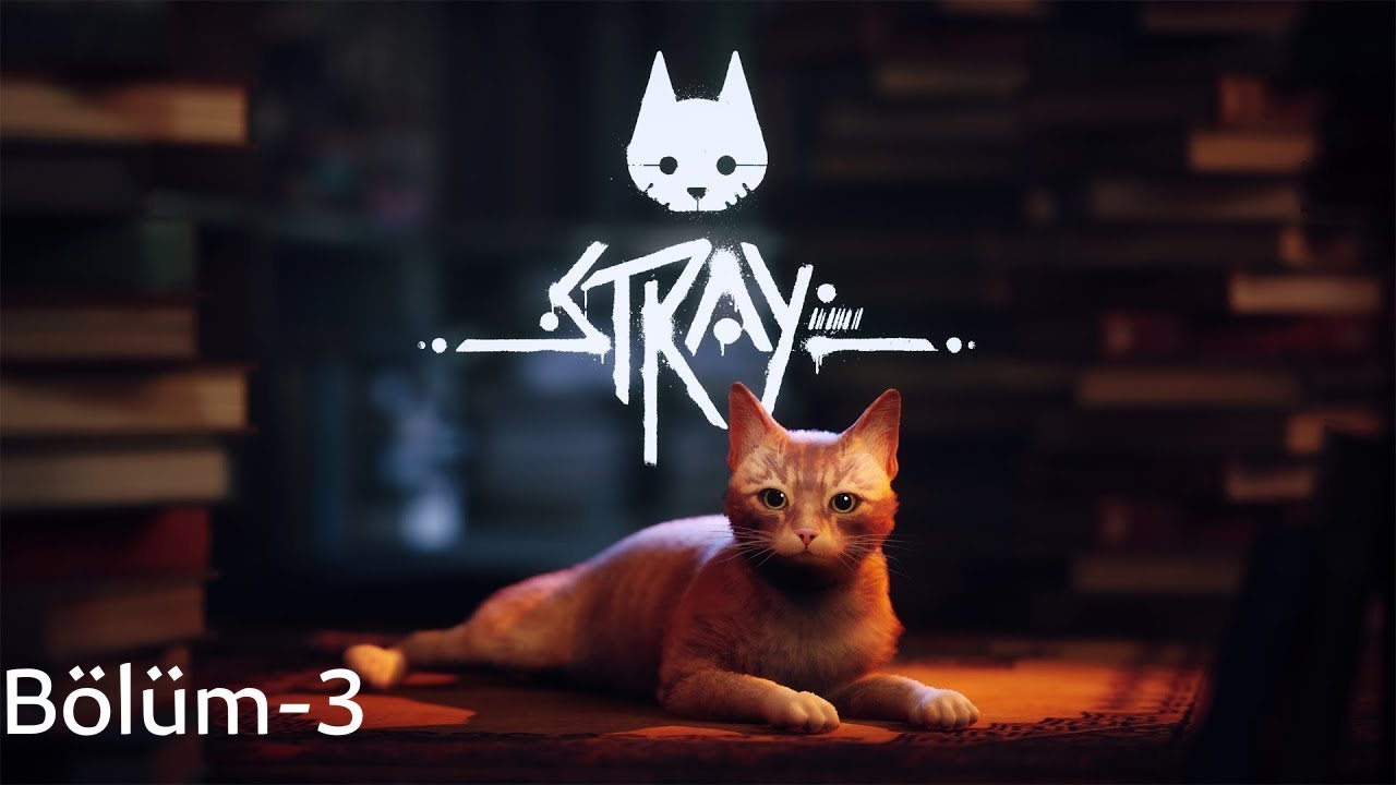 BİR ÇIKIŞ YOLU VARSA BİLİYORLARDIR | STRAY - BÖLÜM 3