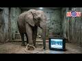 DON'T CLICK THIS POST! News Avoidance on the Rise - New World Next Week