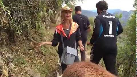 Machu Picchu funny Llama Encounter.