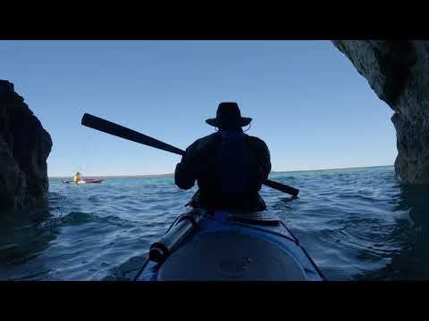 Sea kayaking Lions