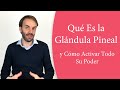 Qué es la glándula pineal y cómo activar su poder