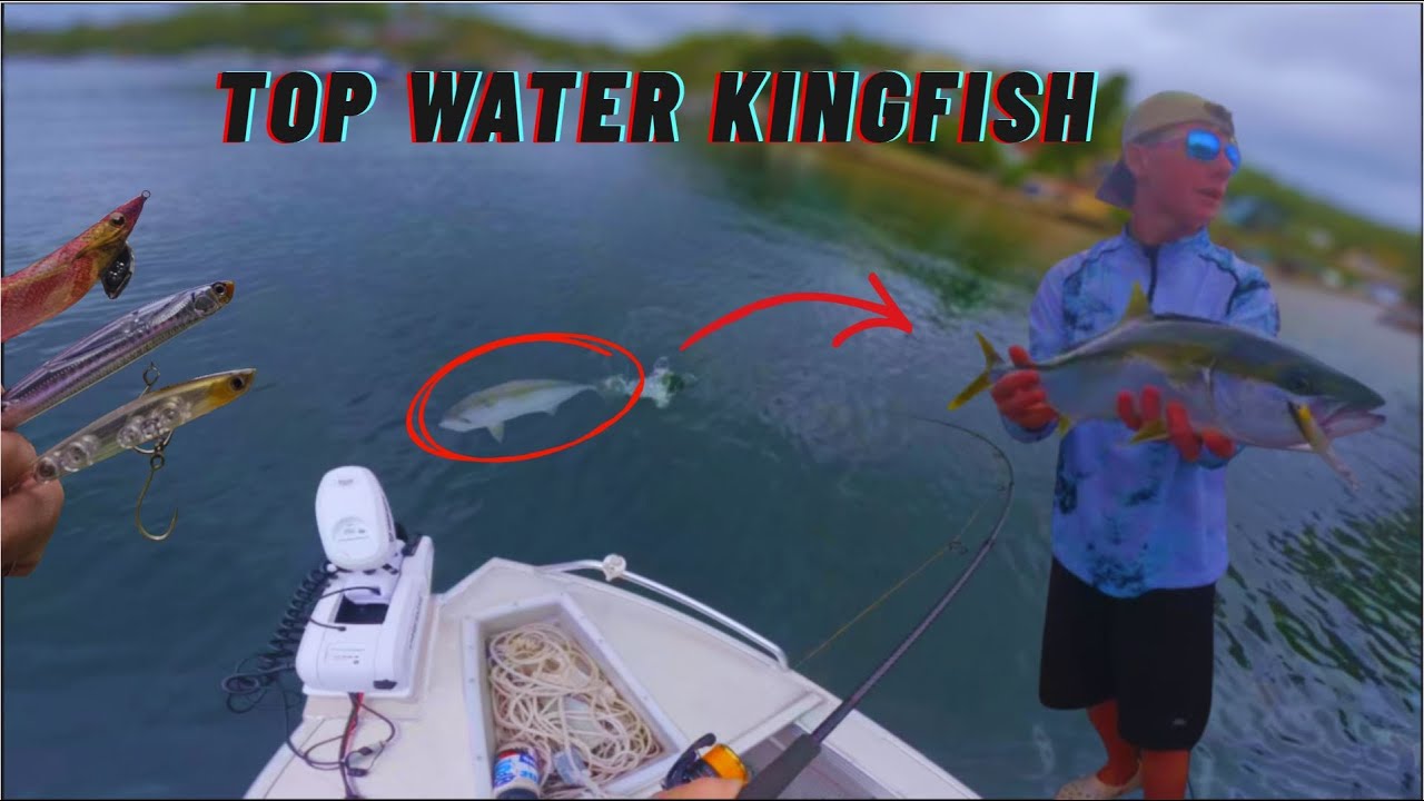 catching TOPWATER KINGFISH?!! (sydney river fishing, squid, bonito, kingfish)