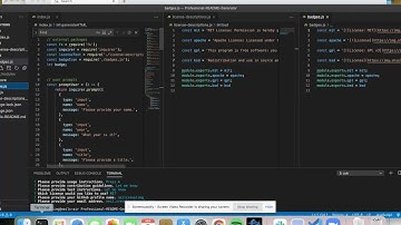 Professional README Generator Walkthrough