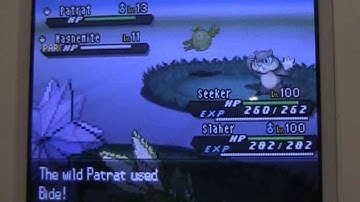 ISHC: Shiny Patrat in Black 2 (Random Encounter)