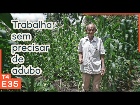 Vídeo: O que se entende por terra não agrícola?