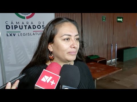 Entrevista | Dip. Elizabeth Pérez Valdez | PRD | 14/11/2022