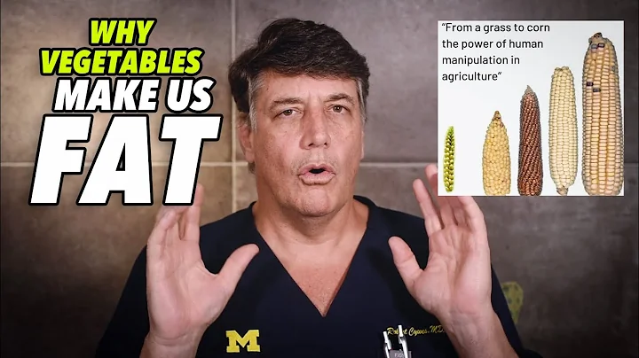 Ep:64 WHY VEGETABLES MAKE US FAT!! - by Robert Cywes