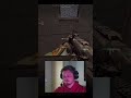 tomei pela ansiedade #warzone #cod #callofduty #warzoneclips