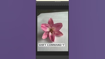 How to Create Digital Flowers With Poppy Campbell 🌸 #shorts #photoshop